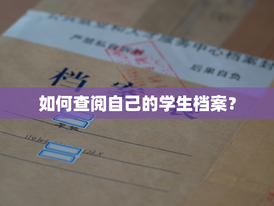 如何查阅自己的学生档案？