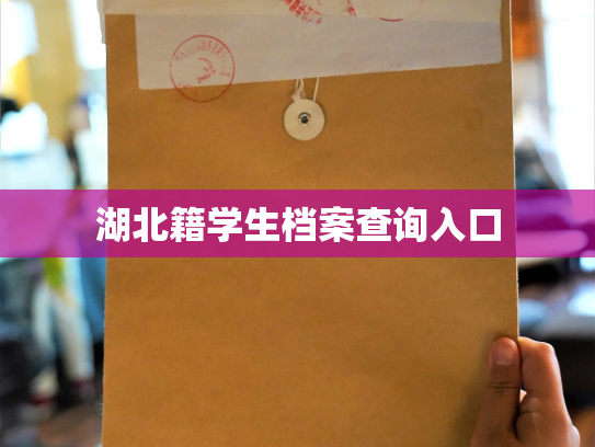 湖北籍学生档案查询入口