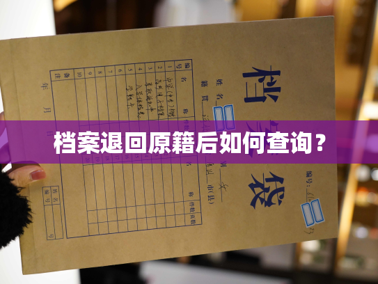 档案退回原籍后如何查询？