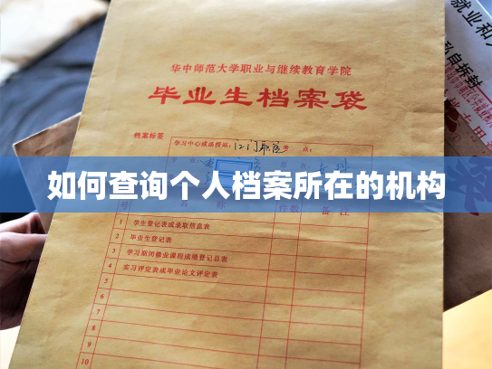 如何查询个人档案所在的机构
