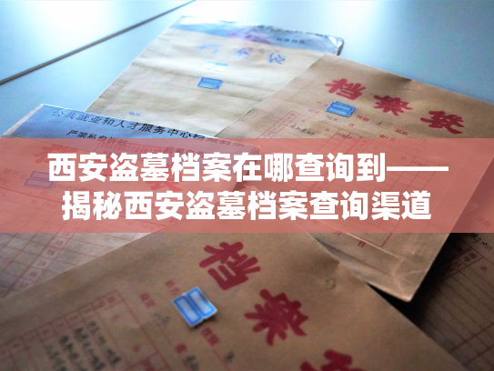 西安盗墓档案在哪查询到——揭秘西安盗墓档案查询渠道