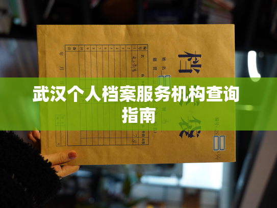 武汉个人档案服务机构查询 指南