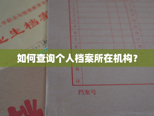 如何查询个人档案所在机构？
