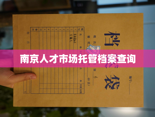 南京人才市场托管档案查询