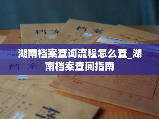 湖南档案查询流程怎么查_湖南档案查阅指南