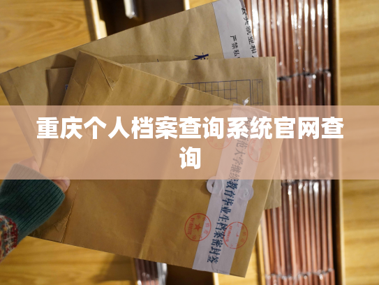 重庆个人档案查询系统官网查询