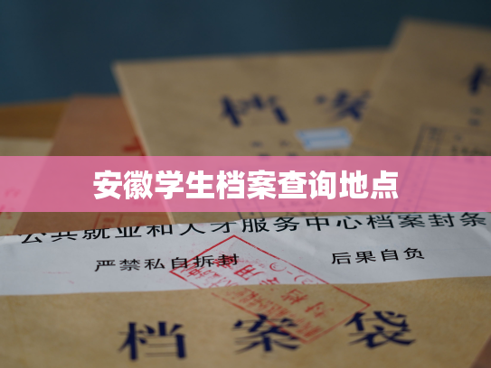 安徽学生档案查询地点