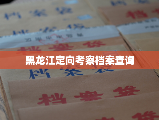 黑龙江定向考察档案查询