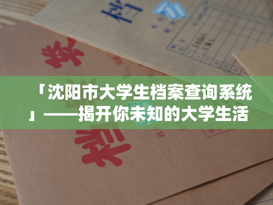 「沈阳市大学生档案查询系统」——揭开你未知的大学生活。