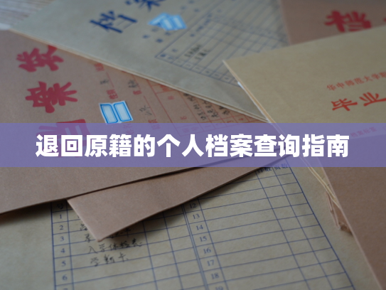 退回原籍的个人档案查询指南