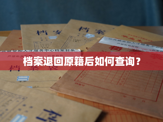 档案退回原籍后如何查询？