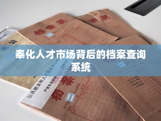 奉化人才市场背后的档案查询系统