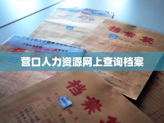 营口人力资源网上查询档案