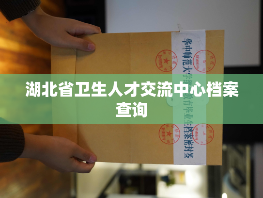 湖北省卫生人才交流中心档案查询