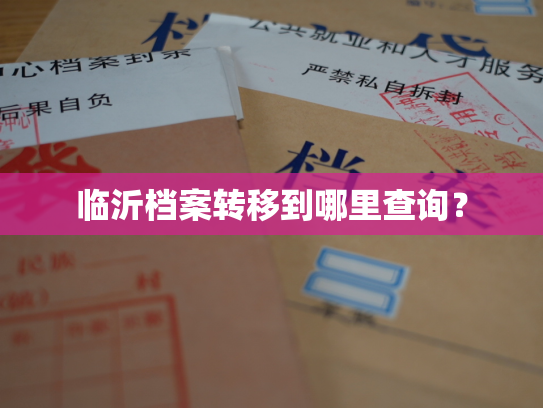 临沂档案转移到哪里查询？