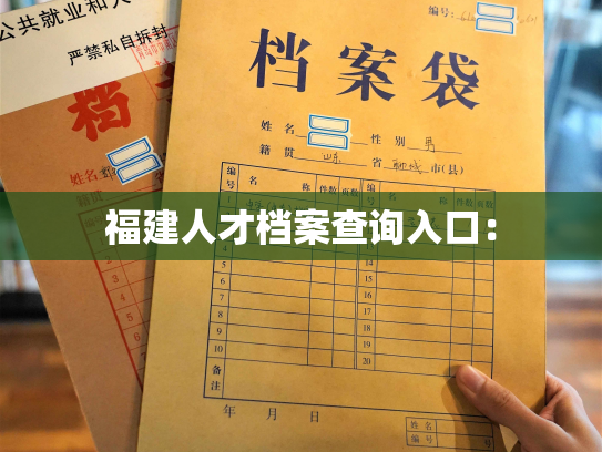 福建人才档案查询入口：
