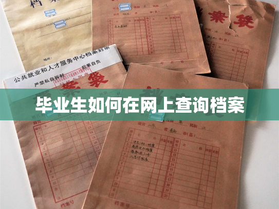 毕业生如何在网上查询档案
