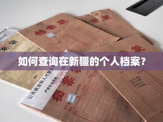 如何查询在新疆的个人档案？