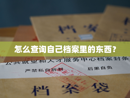怎么查询自己档案里的东西？