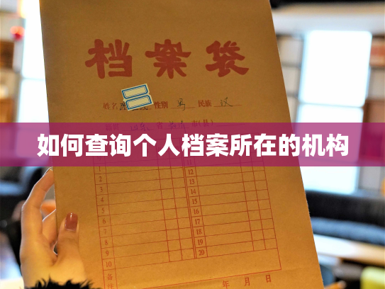 如何查询个人档案所在的机构