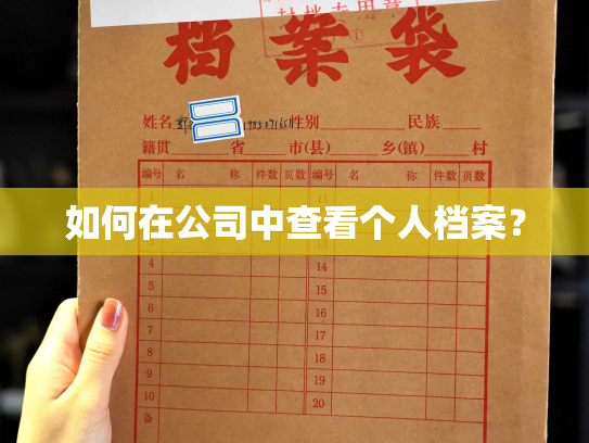 如何在公司中查看个人档案？