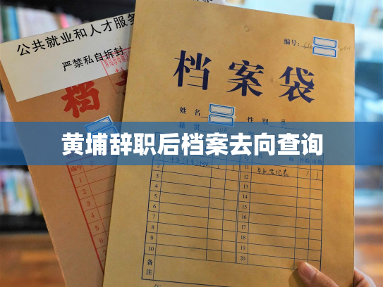 黄埔辞职后档案去向查询
