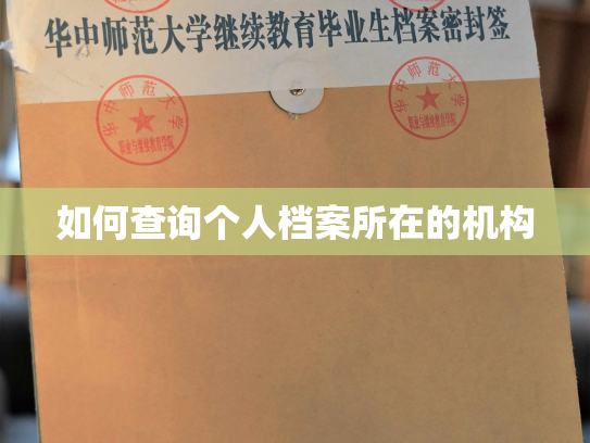 如何查询个人档案所在的机构