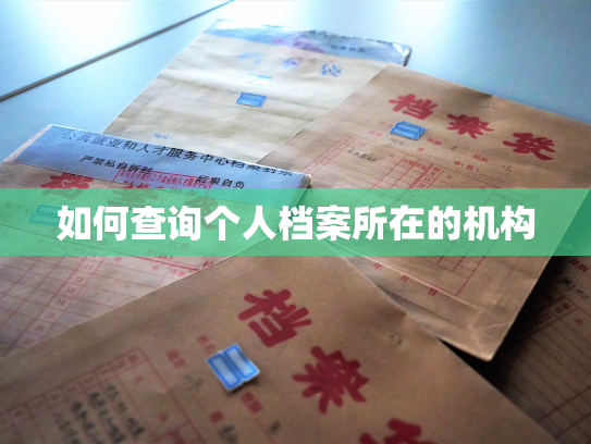 如何查询个人档案所在的机构