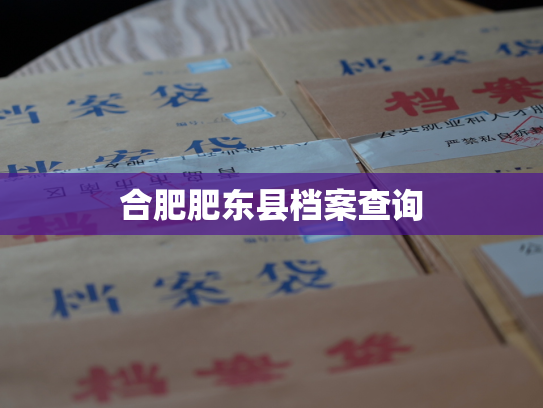 合肥肥东县档案查询