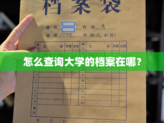 怎么查询大学的档案在哪？