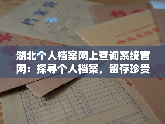 湖北个人档案网上查询系统官网：探寻个人档案，留存珍贵回忆