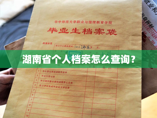 湖南省个人档案怎么查询？