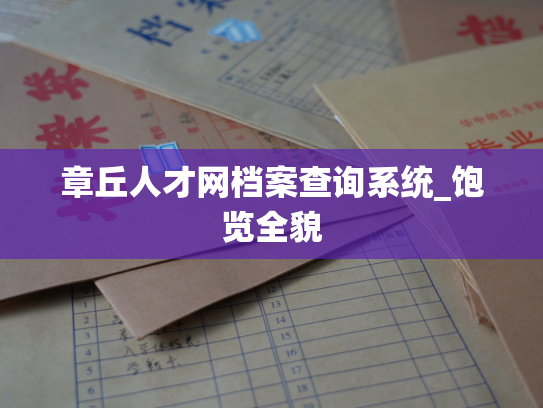 章丘人才网档案查询系统_饱览全貌