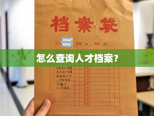 怎么查询人才档案？