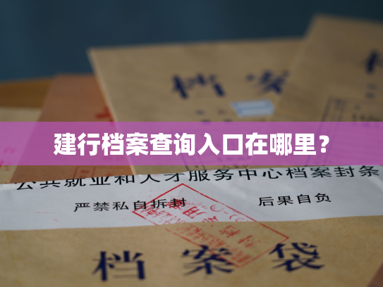 建行档案查询入口在哪里？