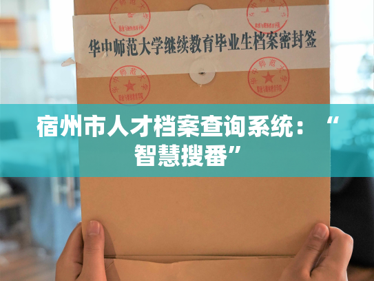 宿州市人才档案查询系统：“智慧搜番”