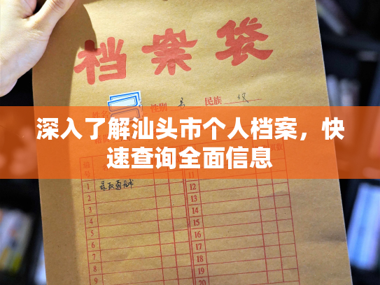 深入了解汕头市个人档案，快速查询全面信息