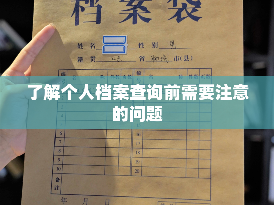 了解个人档案查询前需要注意的问题