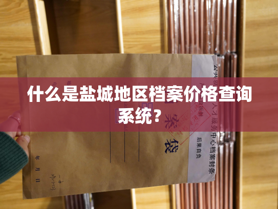 什么是盐城地区档案价格查询系统？