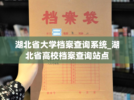 湖北省大学档案查询系统_湖北省高校档案查询站点