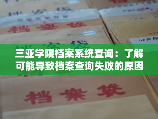 三亚学院档案系统查询：了解可能导致档案查询失败的原因