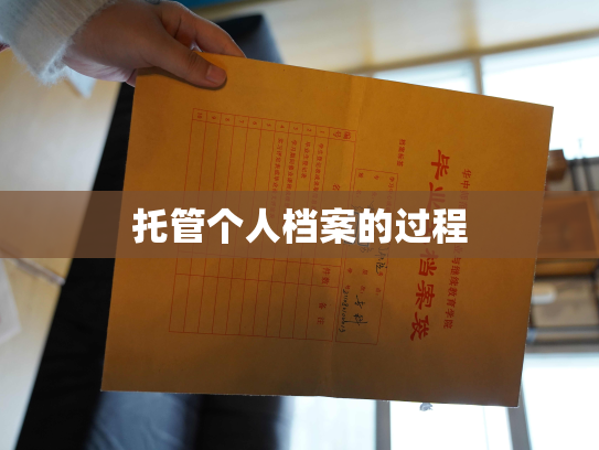 托管个人档案的过程