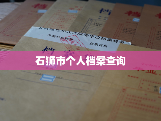 石狮市个人档案查询