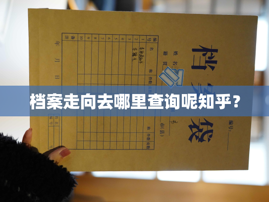 档案走向去哪里查询呢知乎？