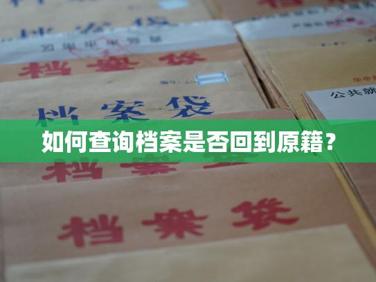 如何查询档案是否回到原籍？