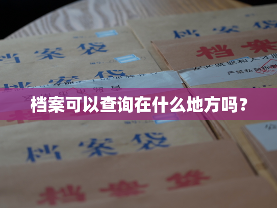 档案可以查询在什么地方吗？