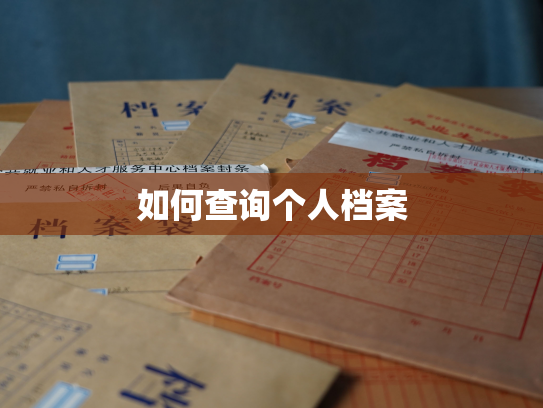 如何查询个人档案