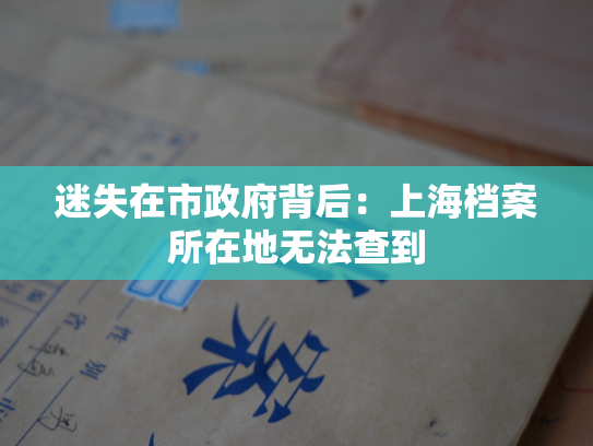 迷失在市政府背后：上海档案所在地无法查到