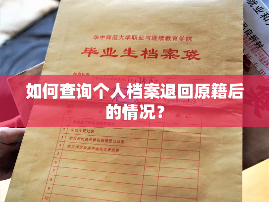 如何查询个人档案退回原籍后的情况？