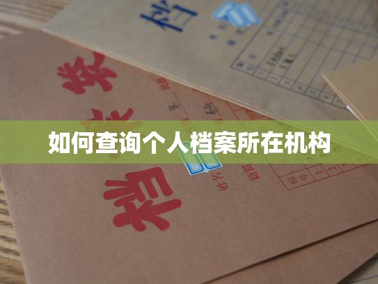 如何查询个人档案所在机构